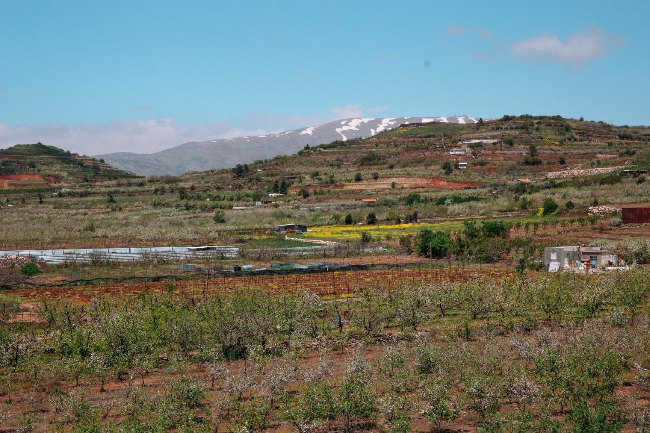 Grand Golan Villa Buq'ata Eksteriør bilde